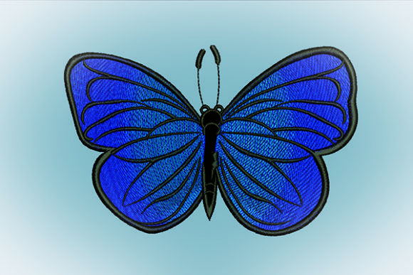 Butterfly Gradation Review