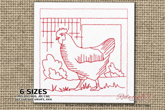 Chicken in Farm