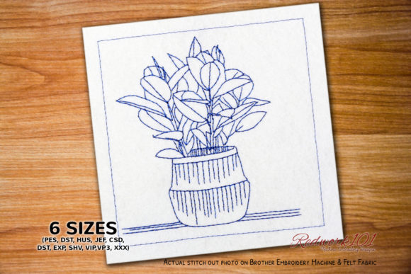 Virgo Plant in Pot